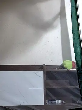 Snapshot of Maria2299 chatting on November 2025 05:36:02 PM Maria2299 online show from November 2025 05:36:02 PM