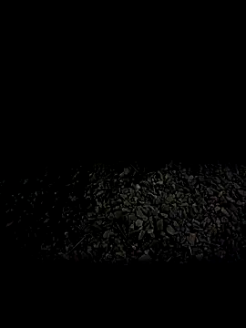 Snapshot of steelwoodVids chatting on November 2025 01:49:01 AM steelwoodVids online show from November 2025 01:49:01 AM