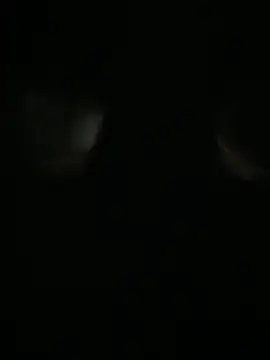 Snapshot of Archie-Davis chatting on October 2025 07:26:02 PM Archie-Davis online show from October 2025 07:26:02 PM