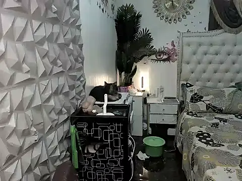 janecomander online show from March 2026 08:54:02 AM