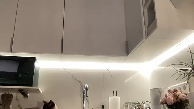 Gidelii online show from October 2025 06:52:02 PM