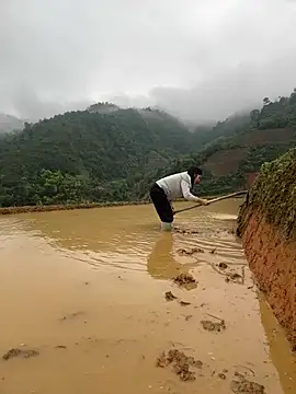 ThiHa003 online show from April 2026 02:42:02 AM