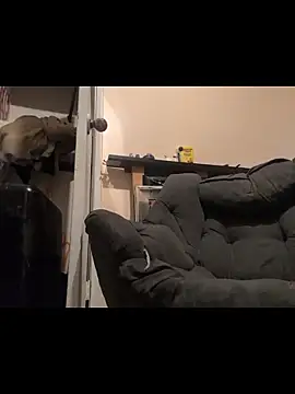 Cnutt310 online show from December 2025 03:50:01 PM