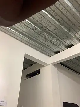 Snapshot of Torvii_bnz16 chatting on February 2026 06:22:01 PM Torvii bnz16 online show from February 2026 06:22:01 PM