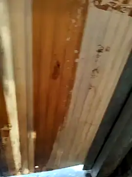 Cut ragni online show from September 2025 11:31:02 AM