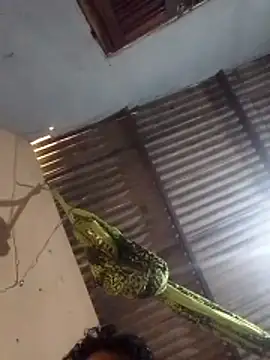 mayevviaqui online show from March 2026 07:42:01 PM