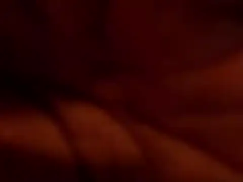 TRANSPORNIDOL online show from November 2025 07:24:02 PM