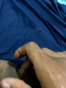 Snapshot of pretalst chatting on November 2025 12:54:01 AM pretalst online show from November 2025 12:54:01 AM