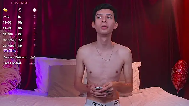 VicenteFerrer online show from April 2026 06:41:01 PM