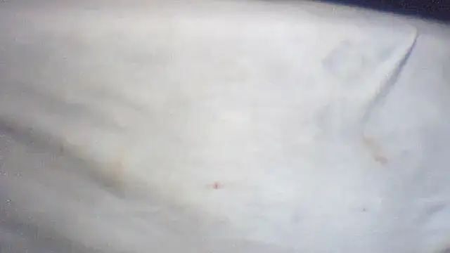 pietje1991 online show from February 2026 01:43:01 PM