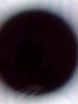 Cumnowd1 online show from October 2025 01:28:01 AM