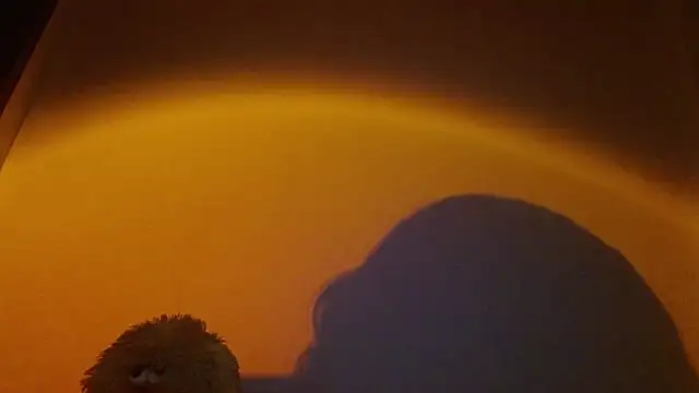 lia ana online show from March 2026 05:34:01 AM