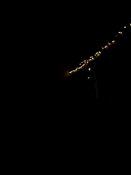 night  wolf online show from April 2026 04:44:02 PM