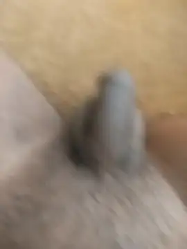 King Raj99 online show from October 2025 10:49:02 AM