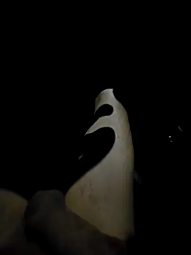 Snapshot of antalya001 chatting on February 2026 04:00:01 PM antalya001 online show from February 2026 04:00:01 PM