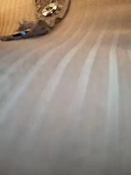 Snapshot of Sandiq99six chatting on November 2025 11:05:02 PM Sandiq99six online show from November 2025 11:05:02 PM