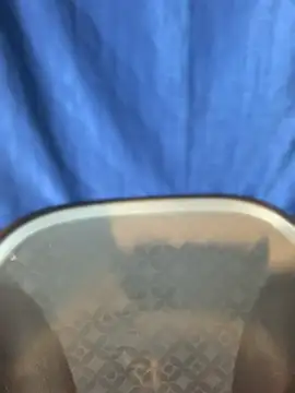 Rashi-48 online show from November 2025 06:03:02 PM