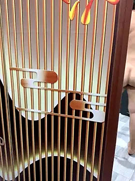 yang-2269 online show from November 2025 08:51:01 PM