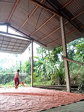 NG N online show from November 2025 12:27:01 AM