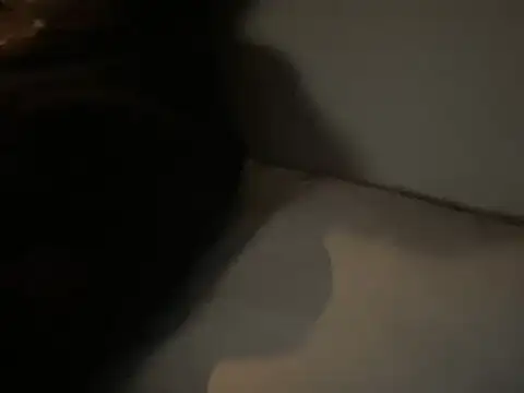 dddasani online show from December 2025 06:45:02 PM