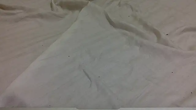 tutu101 online show from January 2026 12:54:01 PM