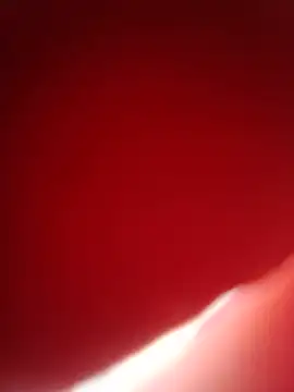 jeltsin3-25 online show from July 2026 01:48:02 PM