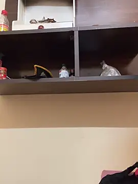 Snapshot of modelnishu chatting on April 2026 06:19:01 AM modelnishu online show from April 2026 06:19:01 AM