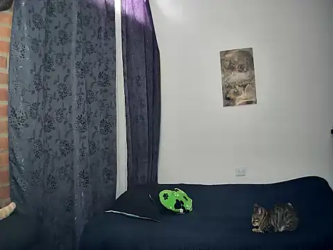 juantalents online show from October 2025 02:39:02 PM