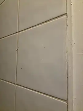 raen001 online show from November 2025 08:54:01 PM