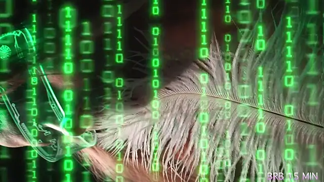 Alvuwkaa online show from April 2026 07:25:02 AM