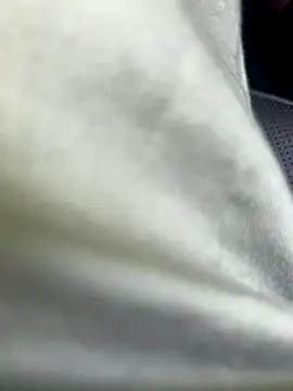 Snapshot of Zoro404040 chatting on September 2025 08:48:01 AM Zoro404040 online show from September 2025 08:48:01 AM