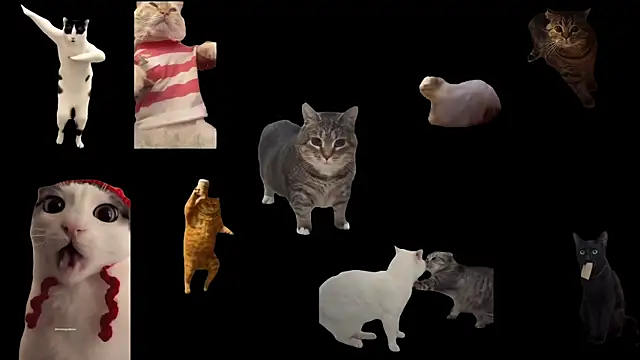 Snapshot of ch0wn_m chatting on September 2025 11:55:02 AM ch0wn m online show from September 2025 11:55:02 AM