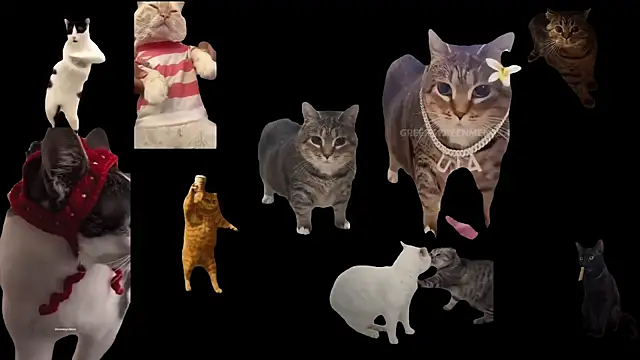 Snapshot of ch0wn_m chatting on October 2025 12:46:02 PM ch0wn m online show from October 2025 12:46:02 PM