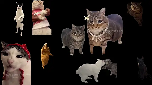 Snapshot of ch0wn_m chatting on October 2025 10:44:01 AM ch0wn m online show from October 2025 10:44:01 AM