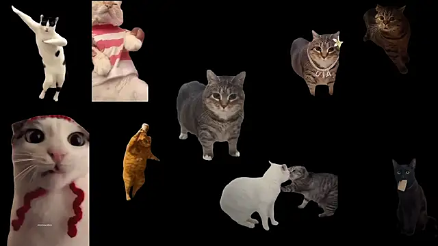 Snapshot of ch0wn_m chatting on November 2025 01:21:02 PM ch0wn m online show from November 2025 01:21:02 PM