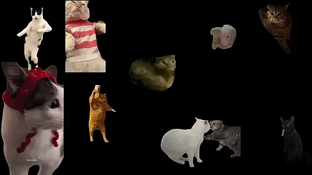 Snapshot of ch0wn_m chatting on November 2025 03:38:02 PM ch0wn m online show from November 2025 03:38:02 PM