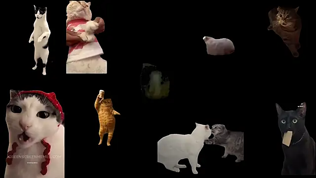 Snapshot of ch0wn_m chatting on November 2025 12:38:01 PM ch0wn m online show from November 2025 12:38:01 PM