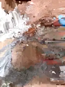 tw swag online show from January 2026 07:45:02 AM