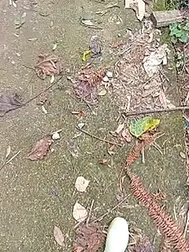 Phuongphuongg online show from October 2025 04:27:01 AM