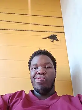 niccobigd online show from May 2026 01:27:01 PM