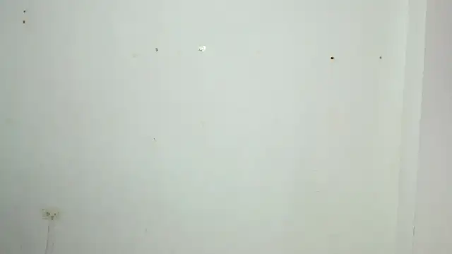 Alex mojica online show from January 2026 06:16:01 AM