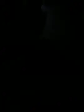 Snapshot of Reeelo chatting on November 2025 03:06:02 AM Reeelo online show from November 2025 03:06:02 AM