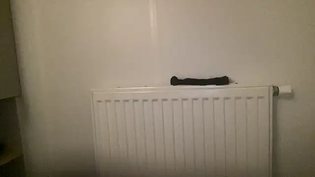 peterpapiNL online show from January 2026 04:34:01 PM