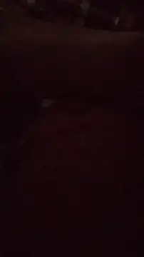 wanderboy1000 online show from January 2026 03:05:02 PM