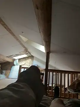 carapace31 online show from February 2026 03:23:01 PM