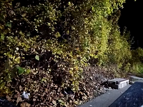 sloppytopkins online show from November 2025 08:15:02 AM