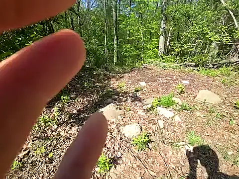 sloppytopkins online show from April 2026 02:42:01 PM