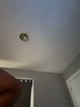 Tu GataLinda online show from November 2025 03:01:01 PM