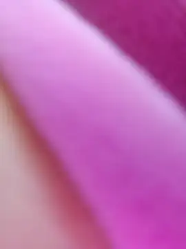 ShineBright88 online show from October 2025 12:06:02 PM