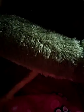 Snapshot of sana-5 chatting on June 2026 07:46:01 AM sana-5 online show from June 2026 07:46:01 AM